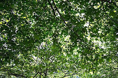 《奈米使徒计划》试玩版登陆Steam平台 新预告发布