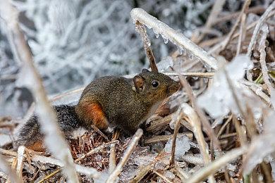 《战锤40K：暗潮》低端PC运行优化Mod现已推出