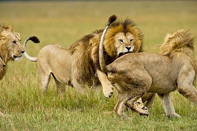 《暗黑4》Steam开启史低特惠 国区售价191.4元快抢